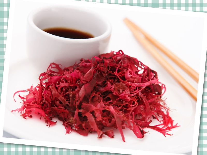 rong biển Tosaka rong biển Tosaka